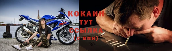 молекула духа Арсеньев