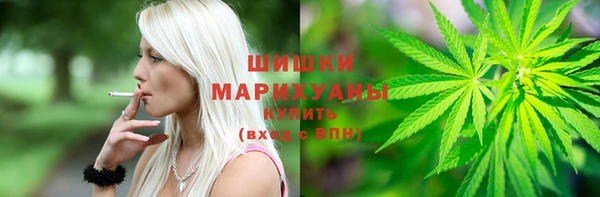 spice Аркадак