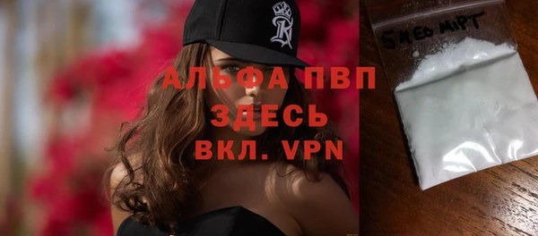 молекула духа Арсеньев