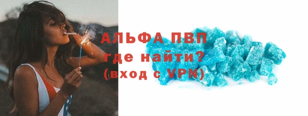 молекула духа Арсеньев