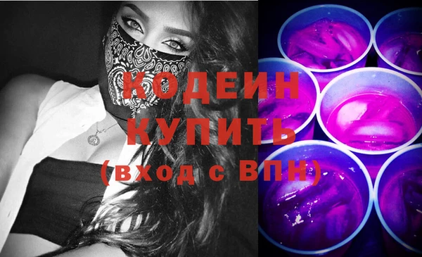 молекула духа Арсеньев