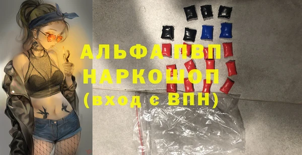 молекула духа Арсеньев