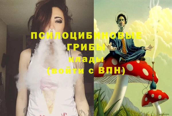 молекула духа Арсеньев