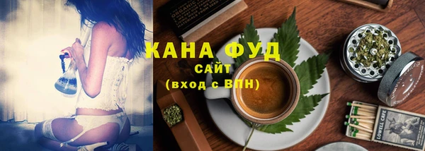 молекула духа Арсеньев