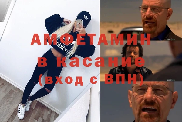 молекула духа Арсеньев