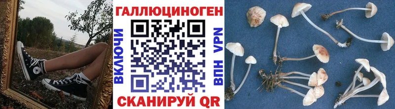 Галлюциногенные грибы MAGIC MUSHROOMS Звенигово